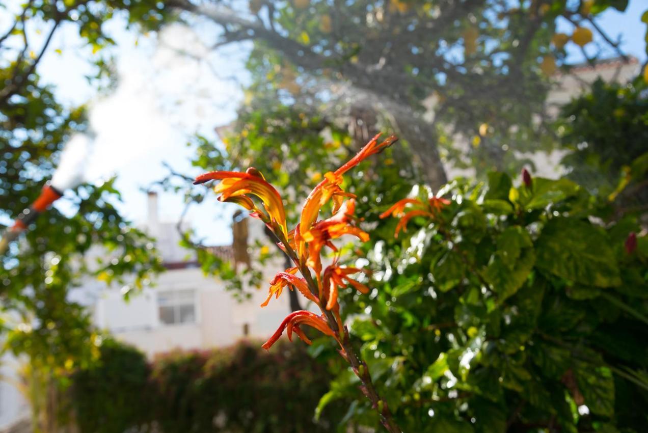 리스본 Flat With A Garden In Belem 아파트 외부 사진