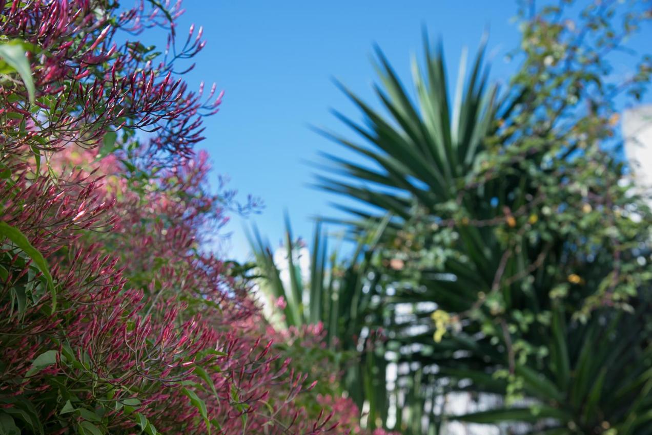 리스본 Flat With A Garden In Belem 아파트 외부 사진